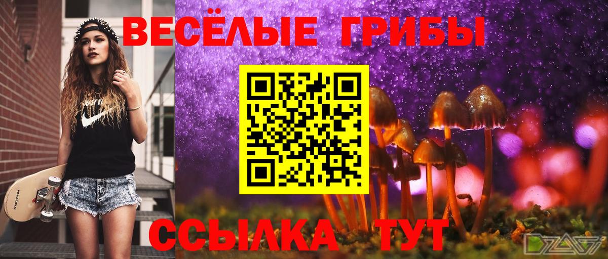 Псилоцибиновые грибы Magic Shrooms Волжск